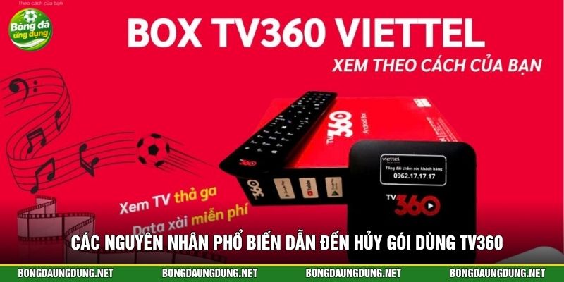 Các nguyên nhân phổ biến dẫn đến hủy gói dùng TV360