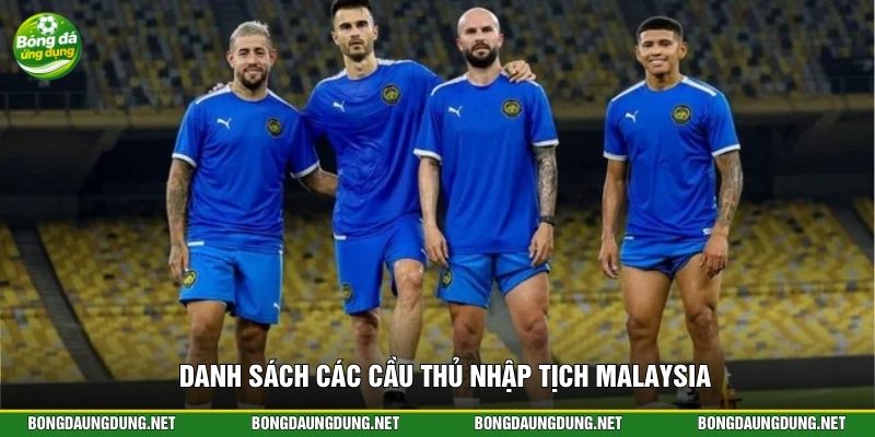 Danh sách các cầu thủ nhập tịch Malaysia 