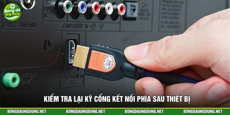 Kiểm tra lại kỹ cổng kết nối phía sau thiết bị